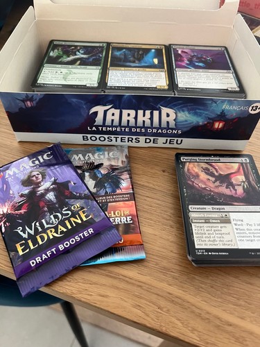 Lot 300 cartes magic - 300+,