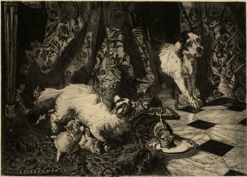 Philippe rousseau importun - philippe,