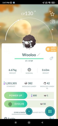 Wooloo shiny - shiny, (registred