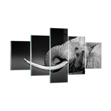 Impression sur Verre 125x70cm