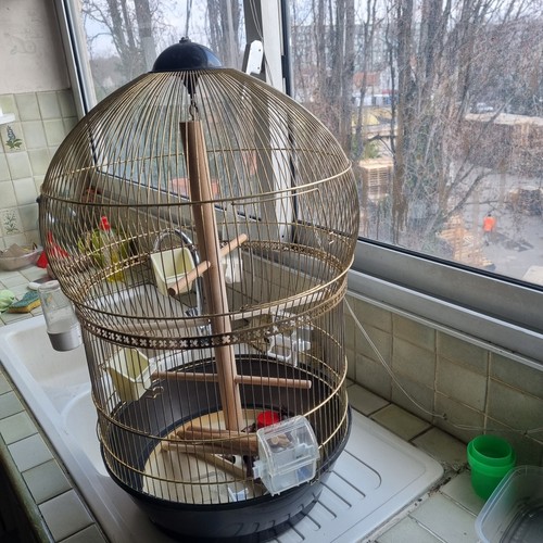 Cage oiseaux - à,