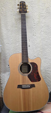 Walden Guitar Natural Solid