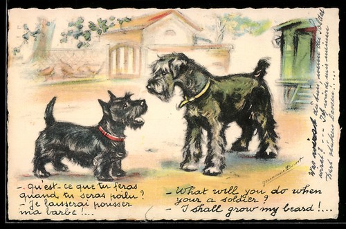 Carte postale artiste - postale, d'artiste