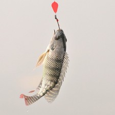 10 Pcs Accessoires De Pêche