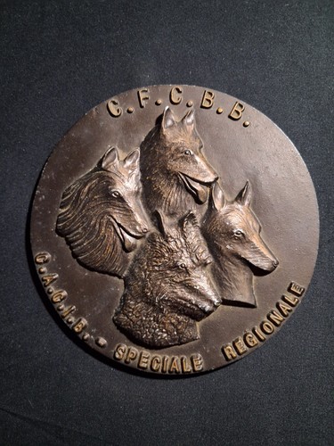 Grande plaque récompense - grande,
