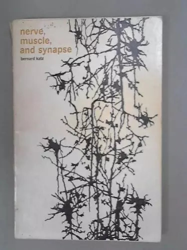 Nerve muscle and synapse - muscle,