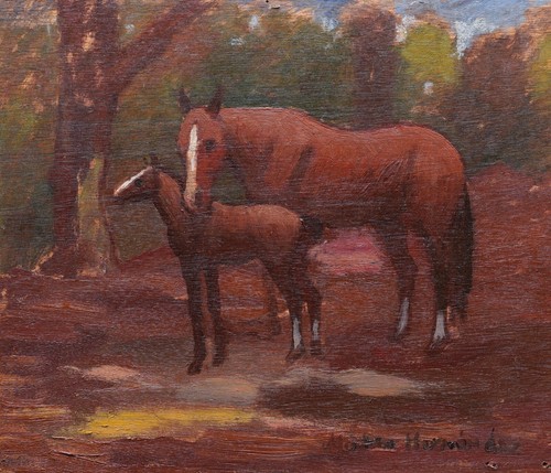 Tableau encadré art - , animalier