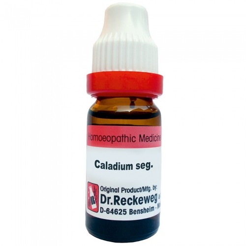 Reckeweg caladium seg - dr.,