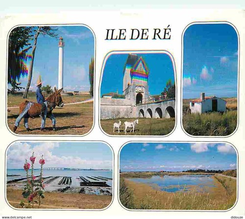 Carte postale ile - carte,