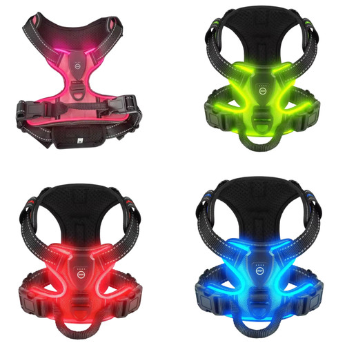 Harnais lumineux led - harnais,