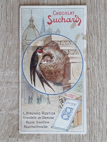 Carte-Chromos-Découpis-CHOCOL