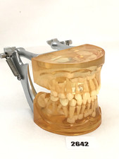 Modèle De Démonstration