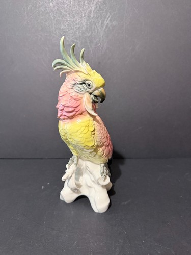 Cacatoès porcelaine - cacatoès, en