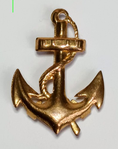 Insigne calot troupes - insigne,