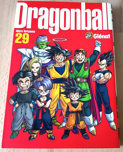 Dragon ball tome perfect - dragon, 29