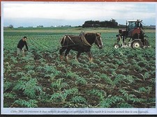 2002 -- LEATHER. MECHANICAL AND HORSE HOISTING IN 2001. 4B420