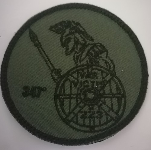 Vae victis 347 223 - vae, malheur
