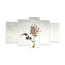 Impression sur Verre 160x85cm Tableaux Image Photo Rose Oiseaux Ciel Decoration