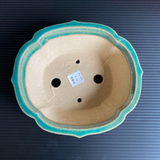 New very rare Medium 17cm " 柴勝 " Shibakatsu Tokoname traditional bonsai pot