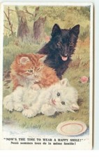 Nous sommes tous de la même famille ! - Deux chats et un chien - 21981