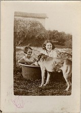 ANTIQUE PHOTO - VINTAGE SNAPSHOT - ANIMAL CHIEN BASIN GAG FUNNY JOKE - DOG