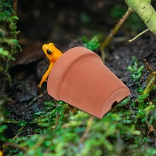  2 Pcs Accessoires Pour