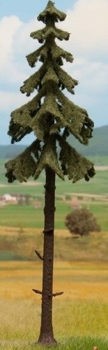 Noch arbre sapin - noch,