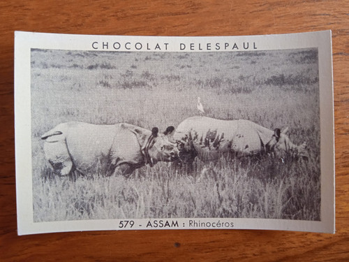 Chocolat delespaul vignette - chocolat,