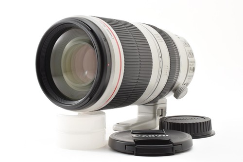 Canon 100 400mm 5 - 100-400mm, l