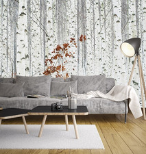 Papier Peint Forêt Blanche