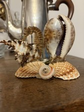 Sculpture En Coquillages