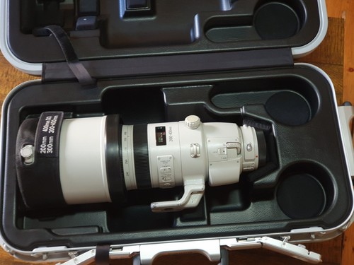 Canon 200 400mm f4l usm - canon,