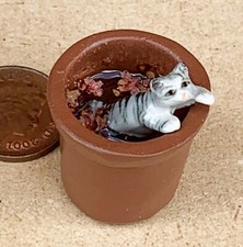 Poupées Maison Céramique Chat En Eau 1:12 Échelle Miniature Jardin Accident ML