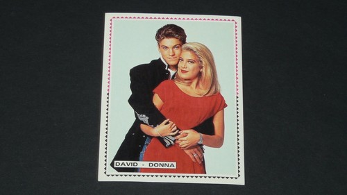 Panini beverly hills 90210 - panini,