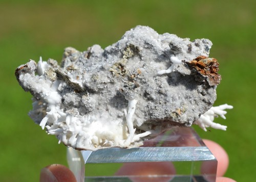 Aragonite flos ferri 64 - "flos,