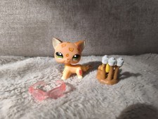 LPS #1120 PETSHOP ORIGINAL AUTHENTIC EUROPEAN CAT + Accessories