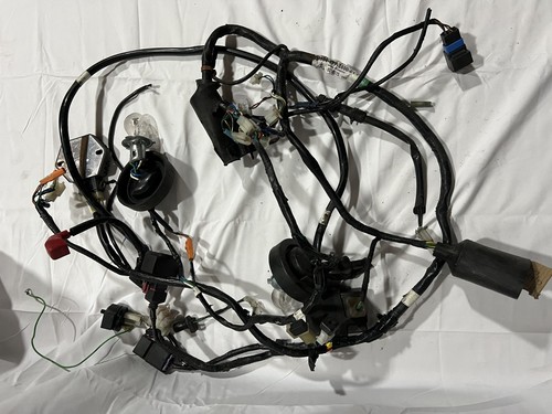 Faisceau électrique avant