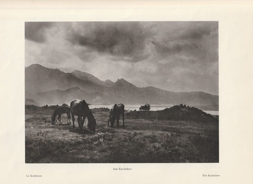 Vue sur kochelsee chevaux - kochelsee,,