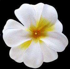 Lot de 10 têtes de fleur