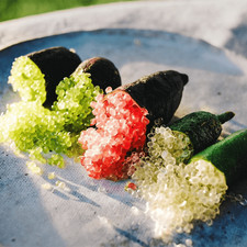 PLANTE FINGER LIME / CITRON