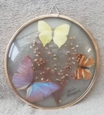 Papillons cadre en Verre