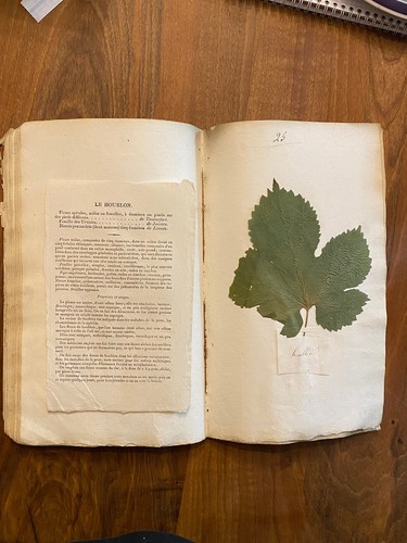 Remarquable herbier 1833 - , de