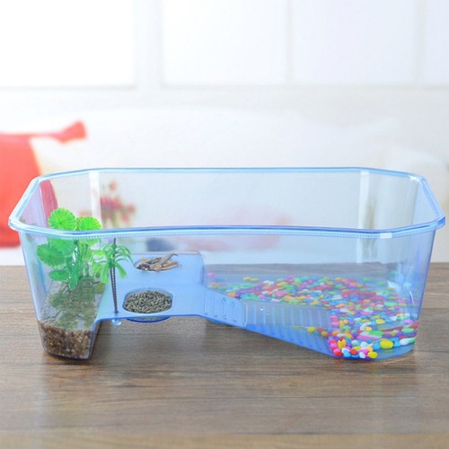 Terrarium tortue cage pour - cage, de