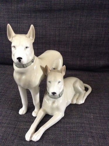 Chien porcelaine germany - chien,