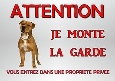 plaque chien staff american