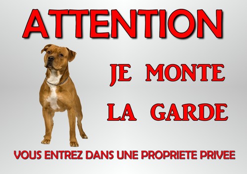 Plaque chien staff american - chien,