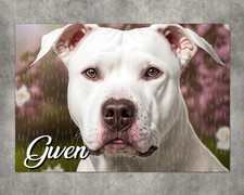 Puzzle Dogue argentin