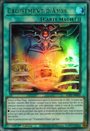 Carte egs1 fr002 - yu-gi-oh, egs1-fr002