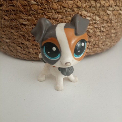 Petshop chien jack - chien,
