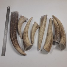 lot de 8 bois de cerf pour